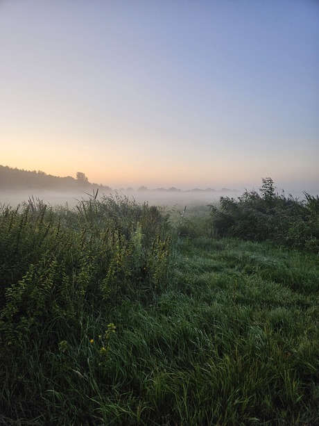 weiland in mist verborgen