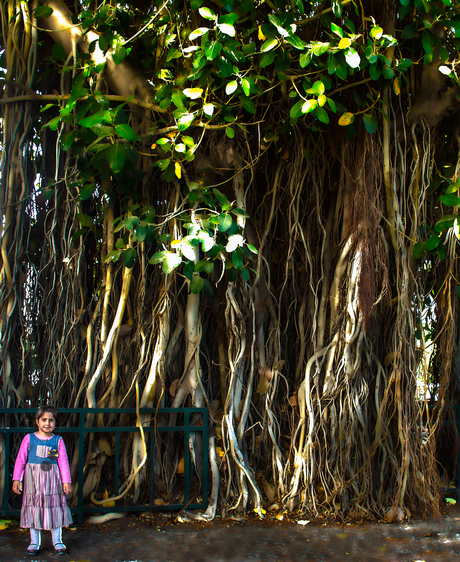 klein meisje in donker bos