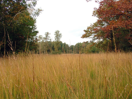 herfst in aantocht 5