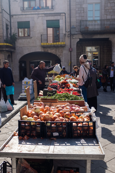 Torroela de Montgris #2