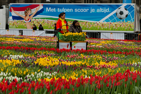 Nationale Tulpendag