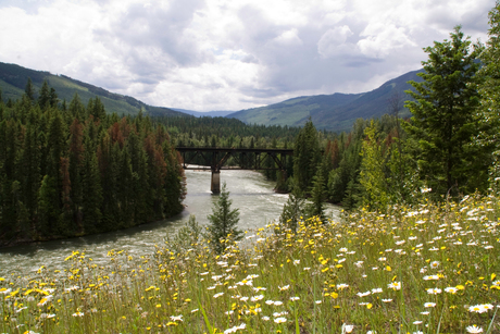 Roadside view