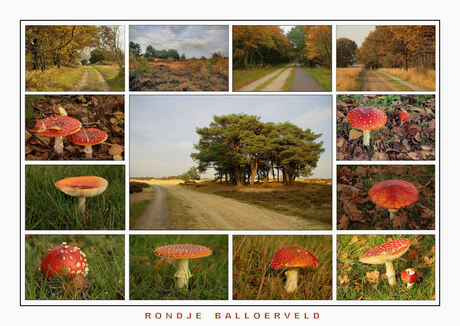 Rondje Balloerveld.