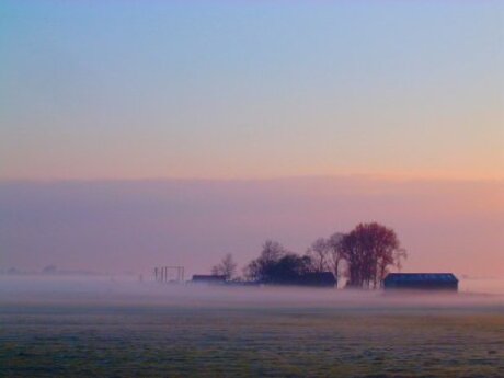 lente ochtend langs de hollandse dijk