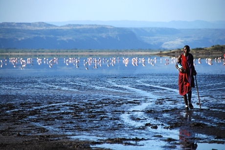 Meer met flamingo´s en Masai man