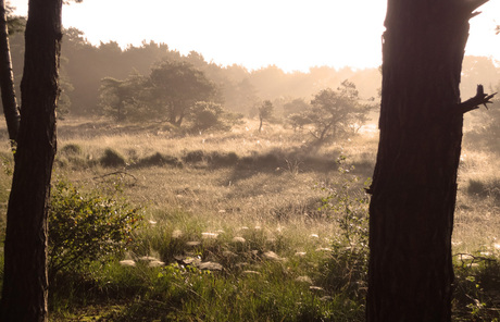 zonsopkomst in Haaksbergen