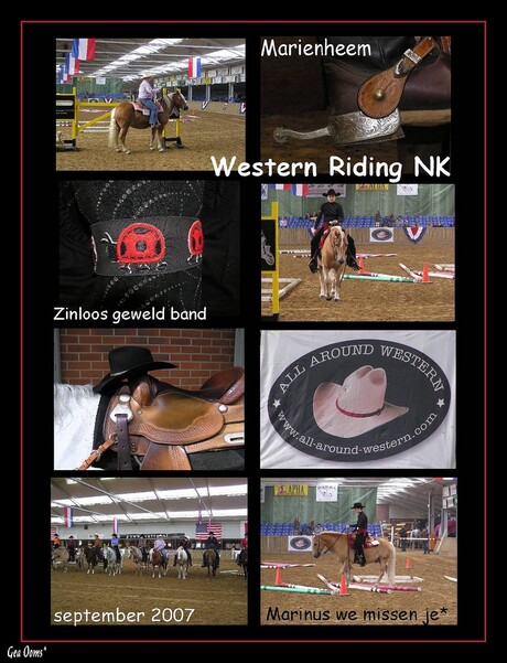 NK Western Riding collage