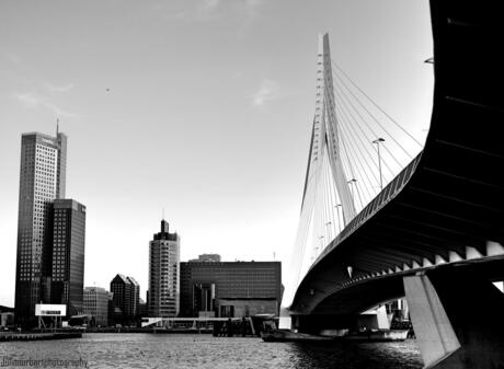 'Erasmusbrug Rotterdam'