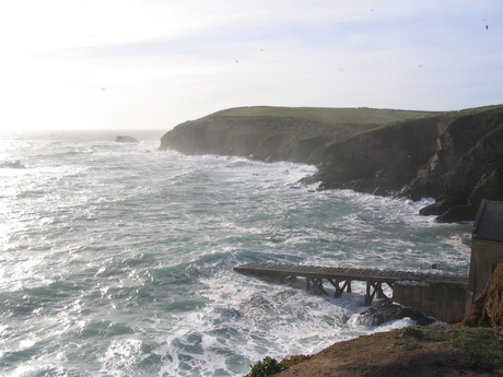 Lizard Point