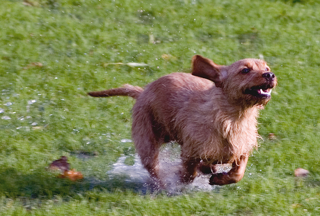 Pien in haar element.jpg