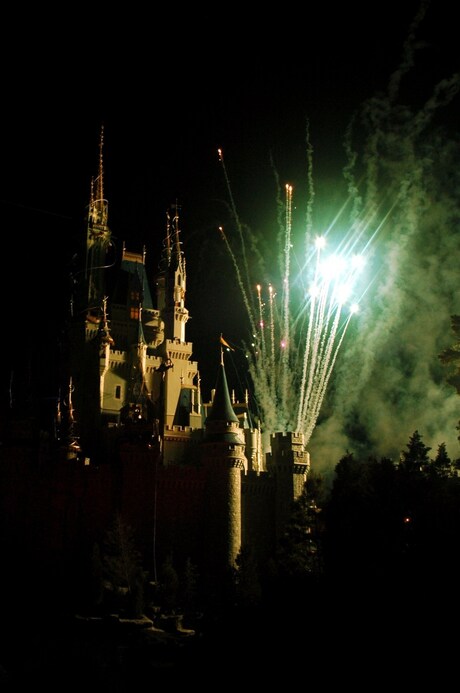 Disney Celebration