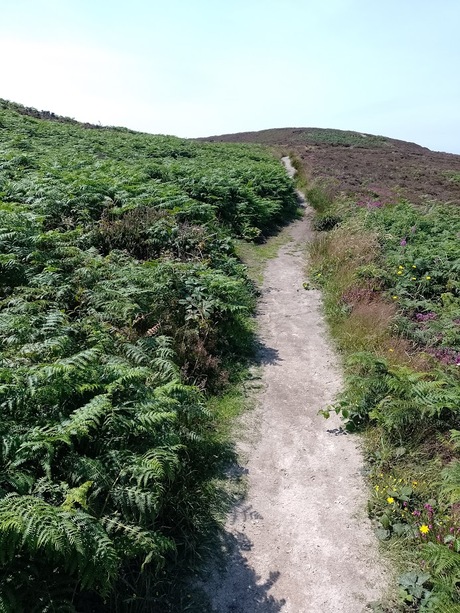 Wandelpad naar boven of naar beneden