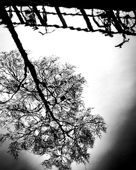 Artistic reflection 05