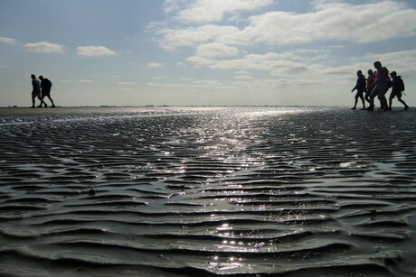 Het wad op