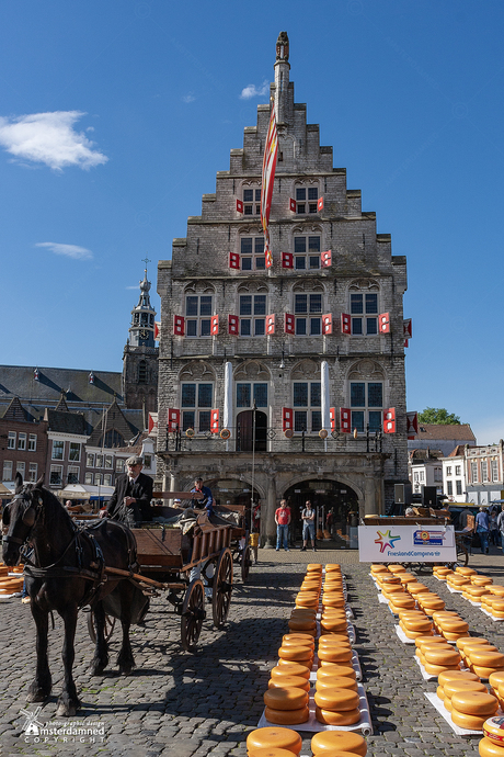 Gouda