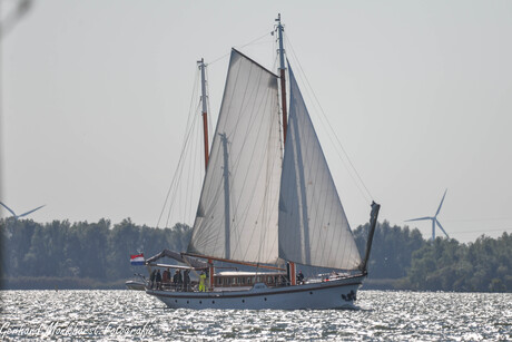 20230924 Zeilklipper Argus op het Haringvliet