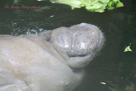 even boven water kijken