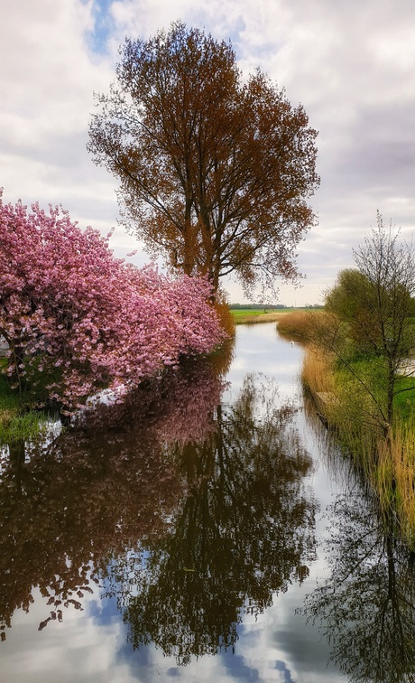 Spiegeling 