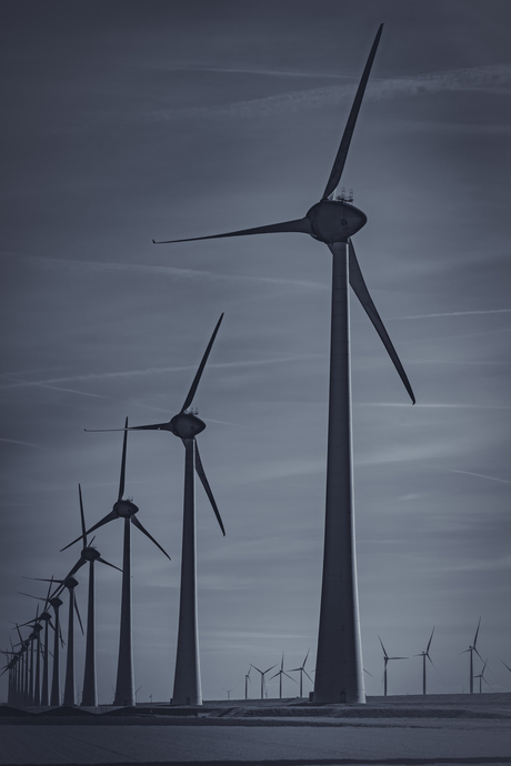 Windmolenpark nabij Rotterdamse Hoek