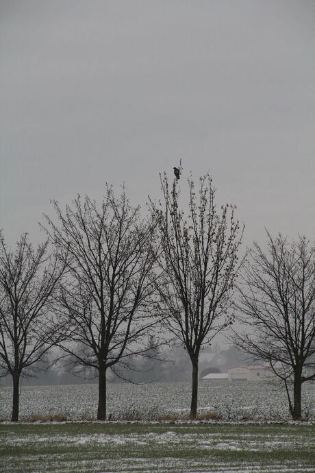 Landschap nabij Bad Kösen, D