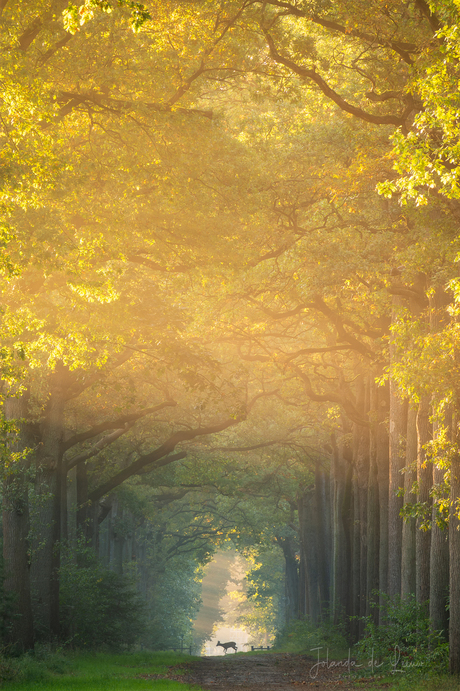 Een mooie ontmoeting 