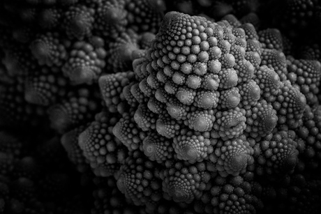 Romanescu: Fractal Food