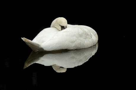 Een spiegel van stilte, waar wit het donker ontmoet. 🤍
