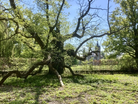 kasteeltuin