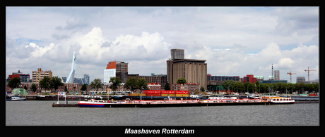 Rotterdam