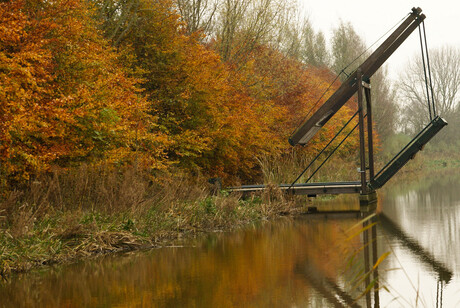 Brug naar het herfstbos...2