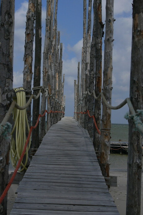 Het pad naar Vlieland