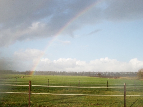 Regenboog in veld2