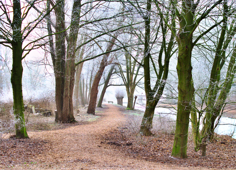 Winter in Holland