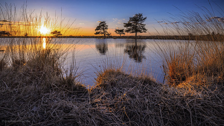 Dwingelderveld 