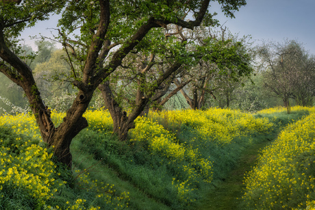 Spring feelings