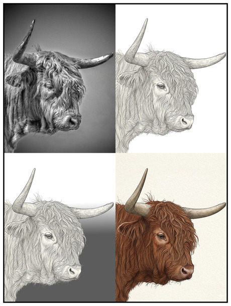 Schotse hooglander en AI