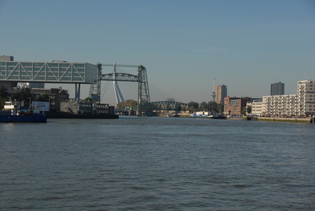 skyline rotterdam