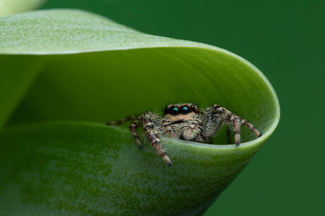 Hi, ik ben er weer... 