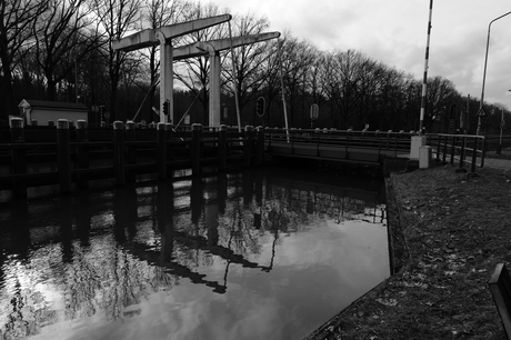 Om en bij "Brug Groene woud"