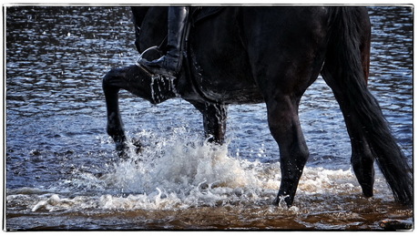 Paard met waterpret