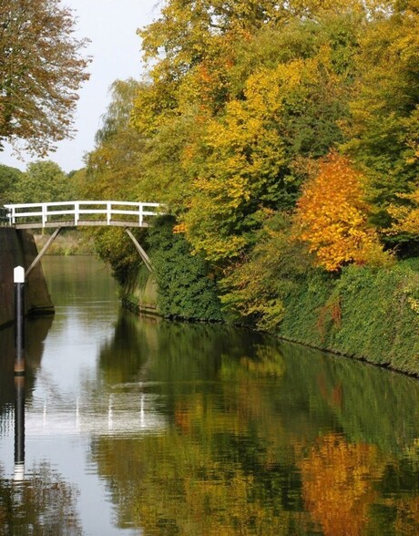 tja, weer een herfstplaatje .....