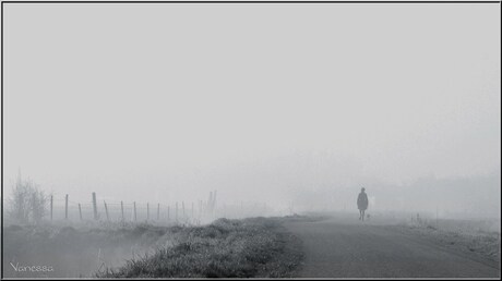 Misty morning