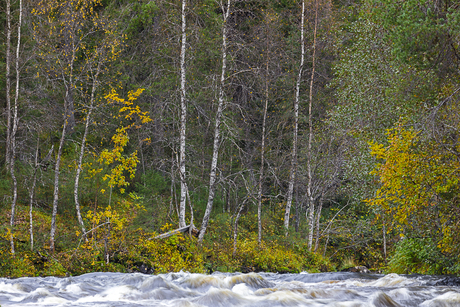 Oulanka National Park