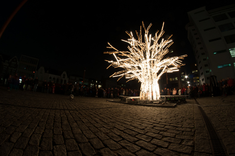 Tree of light