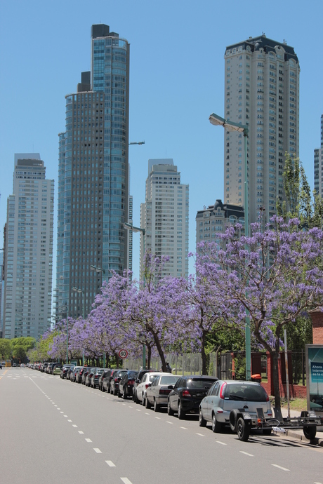 Puerto Madero, Buenos Aires