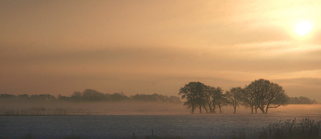 vlak voor de mist