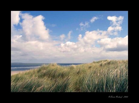 Duinen van Vlieland