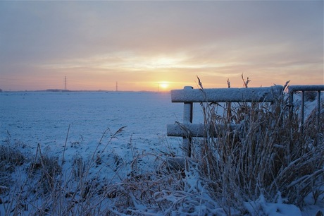 Ochtend zon in de sneeuw 2