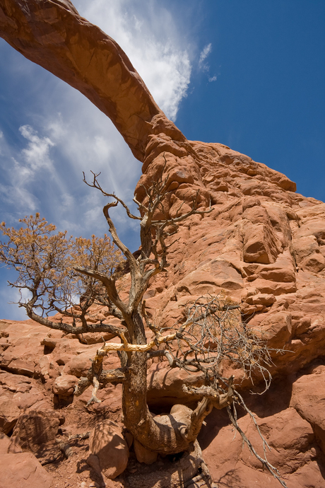 Arches NP