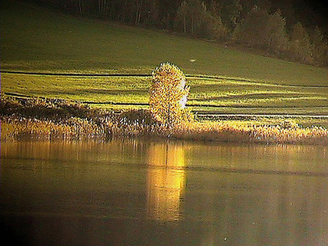 Herfst aan de Weissensee